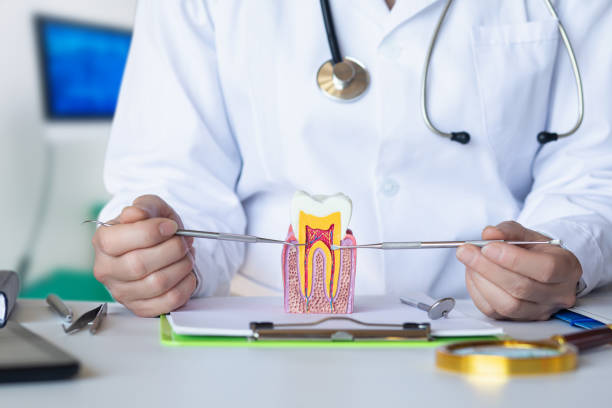 Best Emergency Root Canal Treatment in Nes, IL